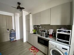 The Wisteria (D27), Apartment #533145131